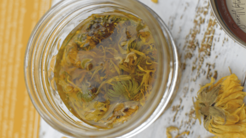 simply earth subscription box