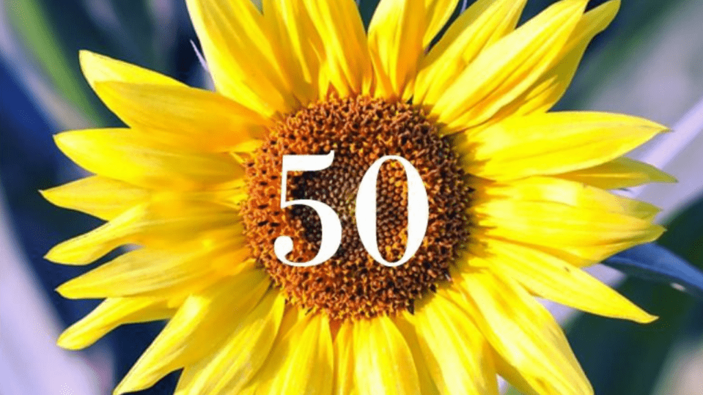 quotes for when you feel like giving up